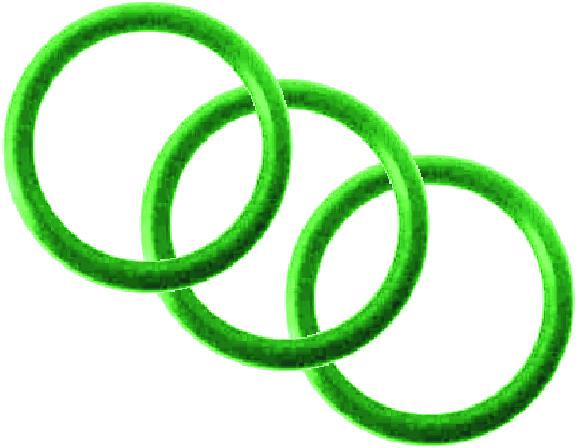 Beaver 213 Nitrox Cylinder Valve O-rings[OR 213 N ]